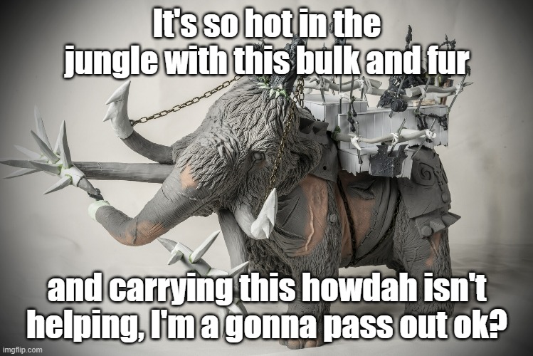 8zdfyh.jpg