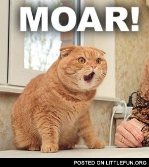167241-moar.jpg