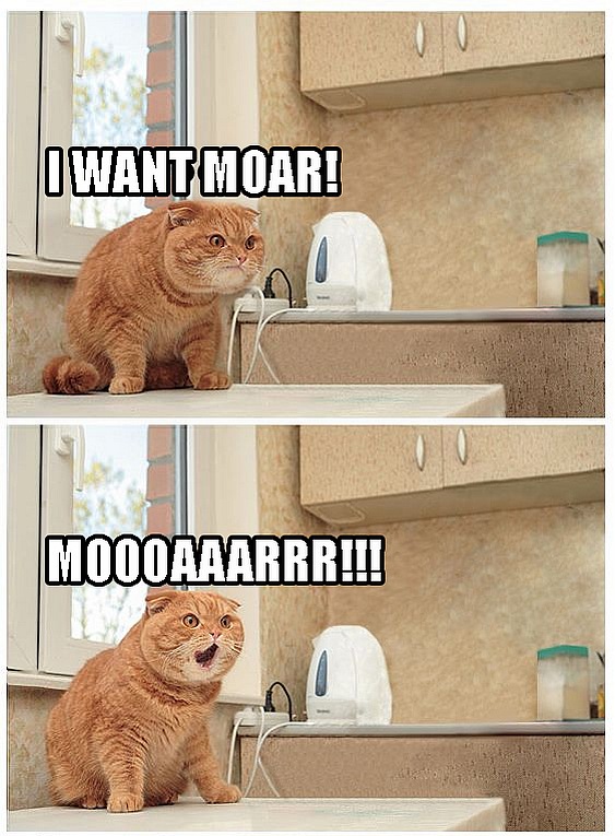 151944-cat-i-want-moar.jpg