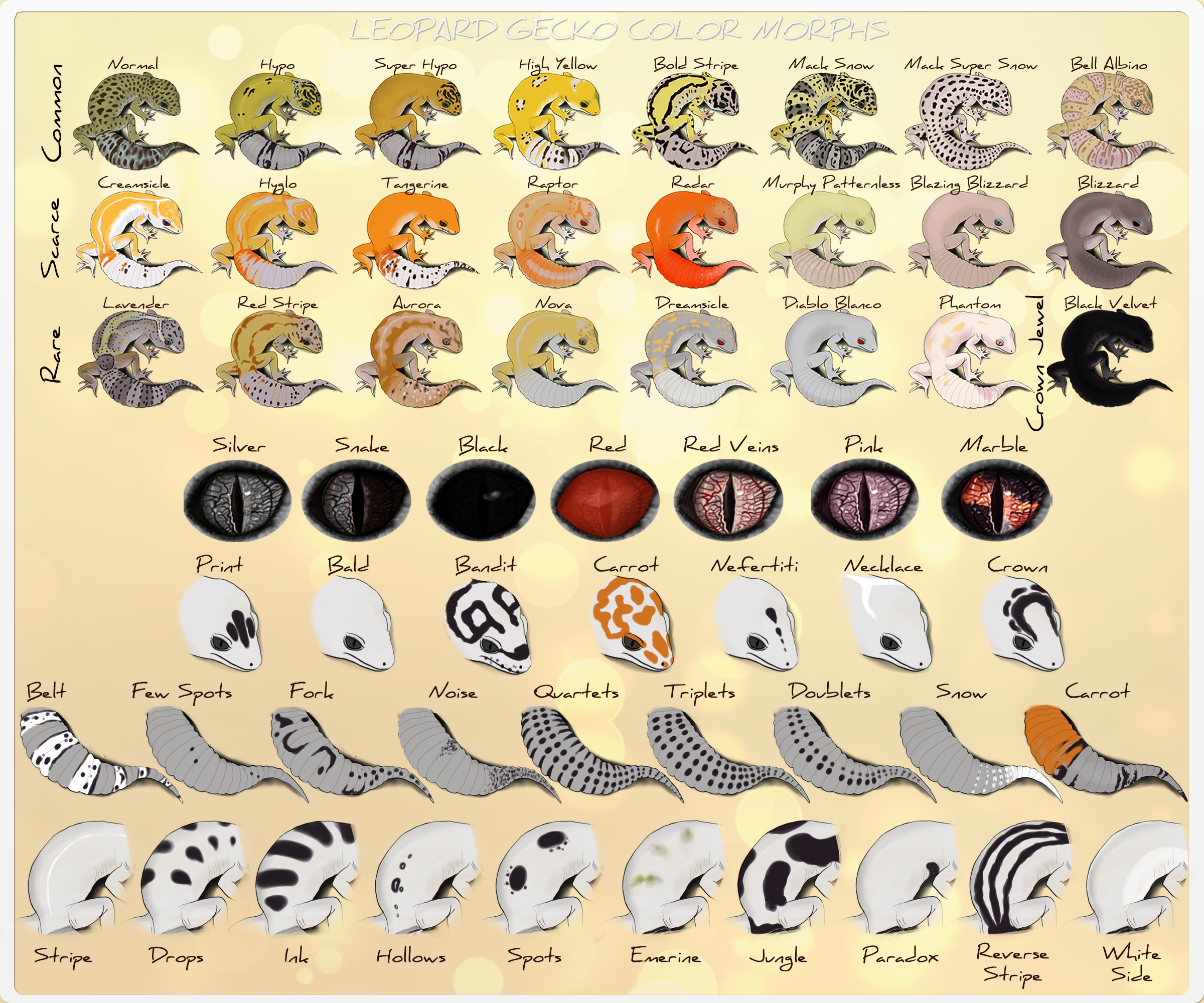 185531-669da4f35f38e571a9194ad0cb974d94.png