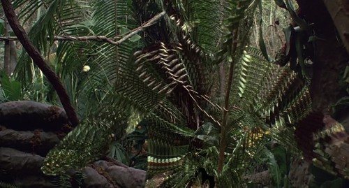 146435-the-jungle-came-alive-and-took-him.jpg