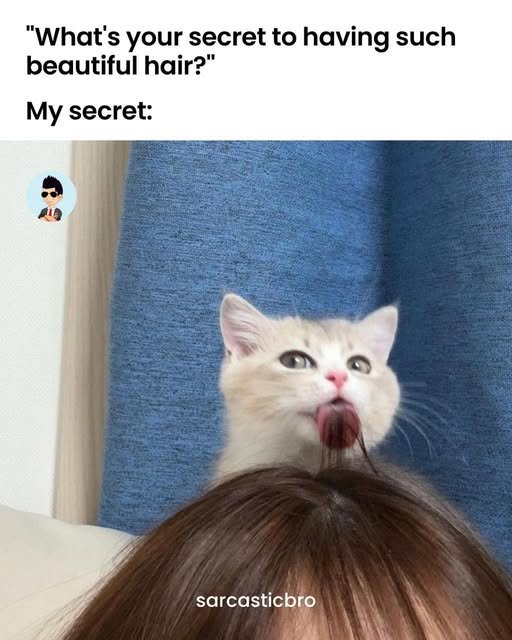 1774827977638.jpeg