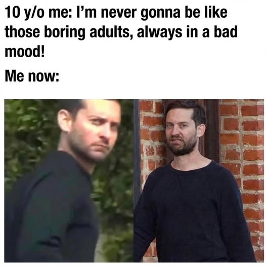 1774828196068.jpeg