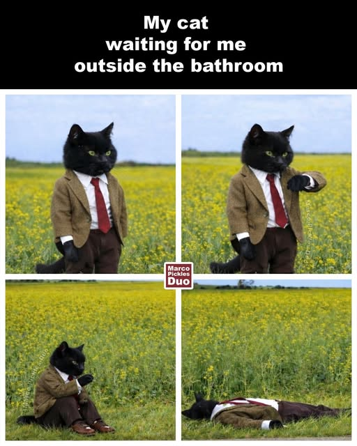 1774828953316.png