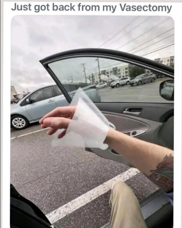 1774829232897.png