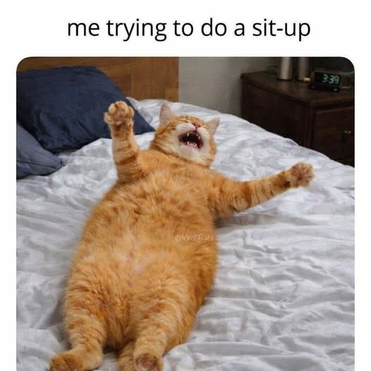1774829416547.png