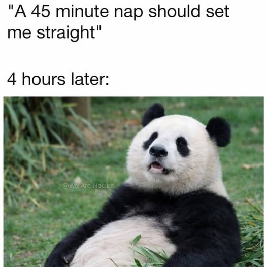1774829529040.png