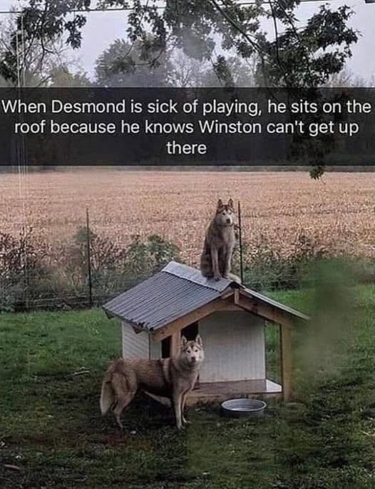1774829628906.png