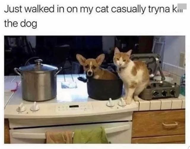 1774833576666.png