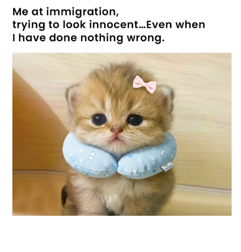 at-immigration-trying-look-innocent-even-have-done-nothing-wrong.png