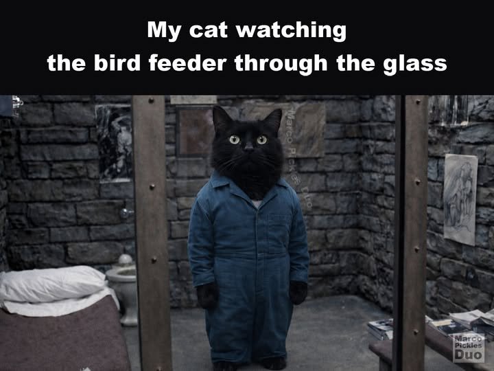 1776830906848.jpeg