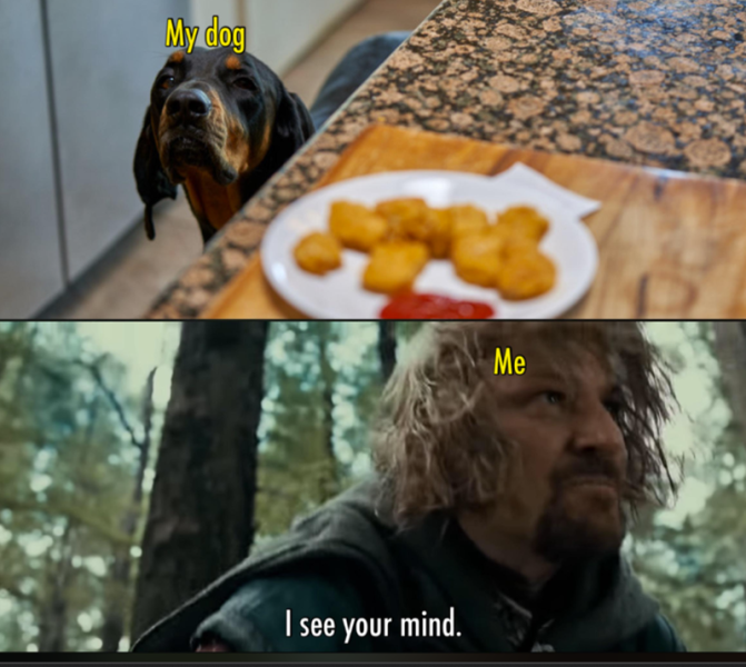 my-dog-see-mind.png