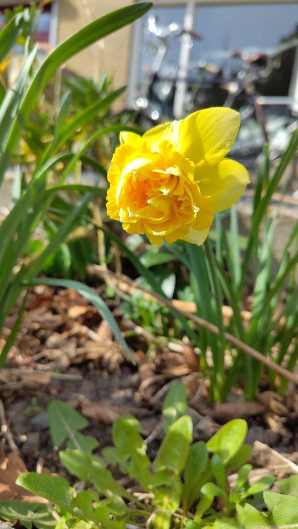 IMG_20250322_120123.jpg