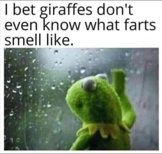 679596527_1360062279492135_2159425080232133014_n.jpg