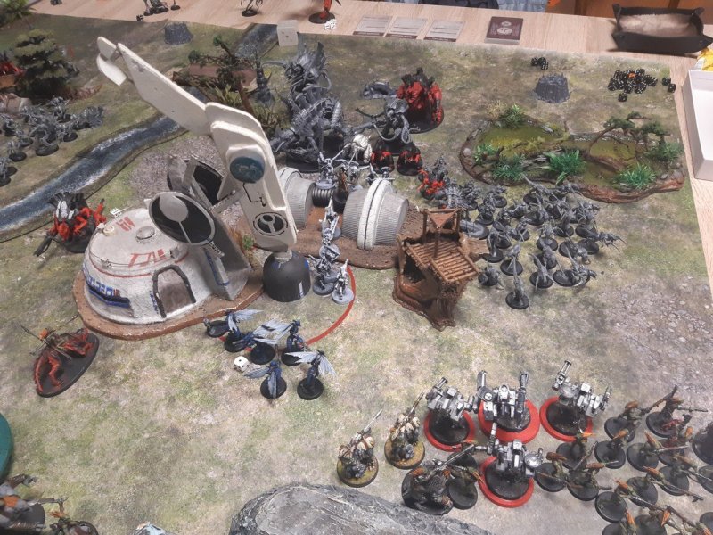 Fight 1.jpg