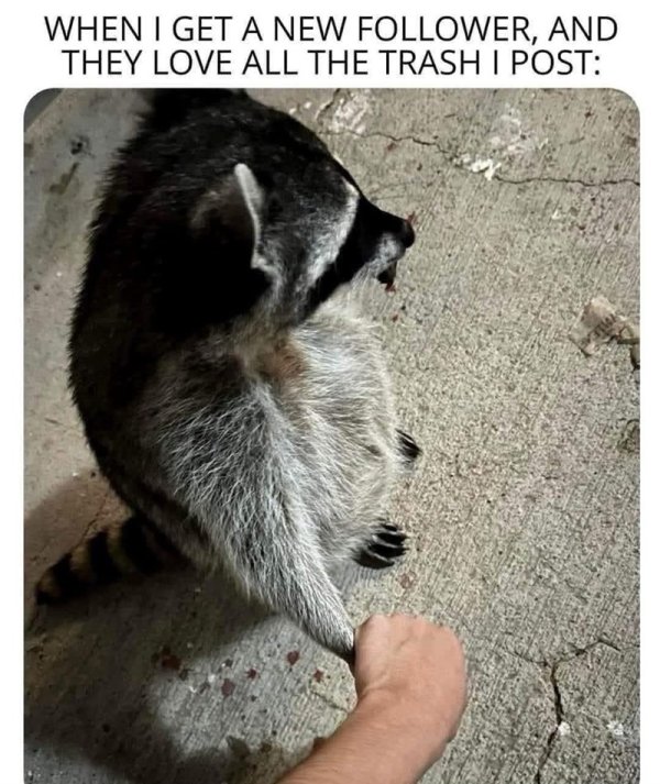 get-new-follower-and-they-love-all-trash-post.jpg
