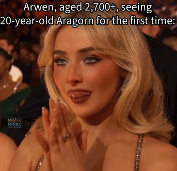 arwen-aged-2700-seeing-20-year-old-aragorn-first-time-memes-moria-0300.png