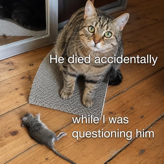 691255601_1577564494371391_3497568807916967808_n.jpg
