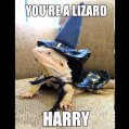 Lizard Wizard
