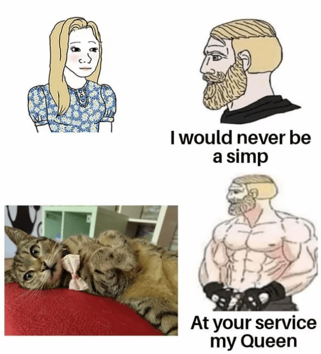 would-never-be-simp-at-service-my-queen
