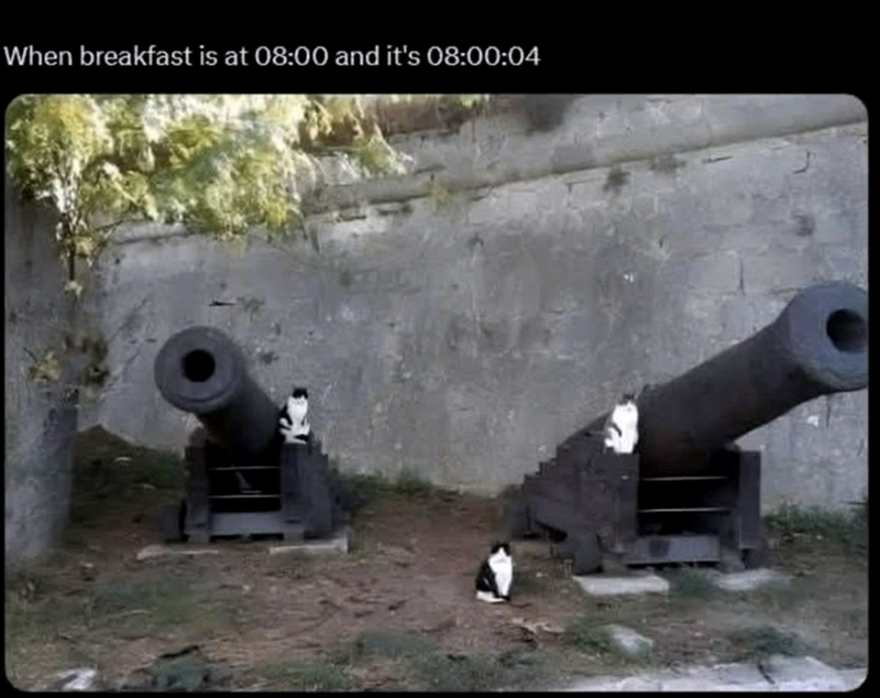 breakfast-is-at-0800-and-s-080004