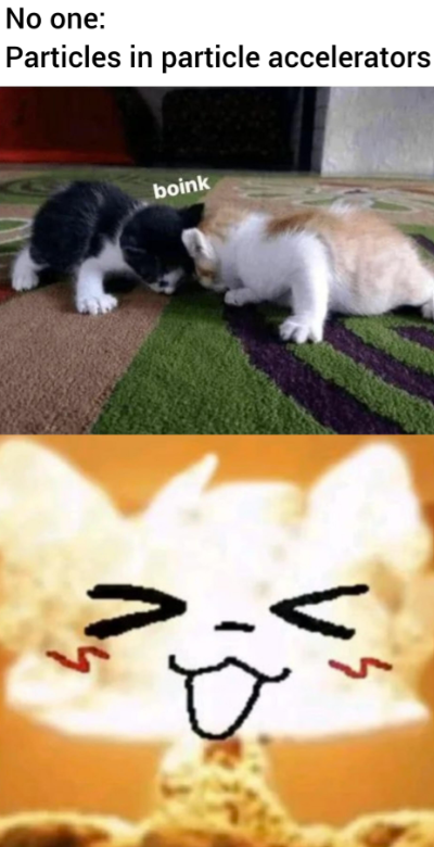 no-one-particles-particle-accelerators-boink