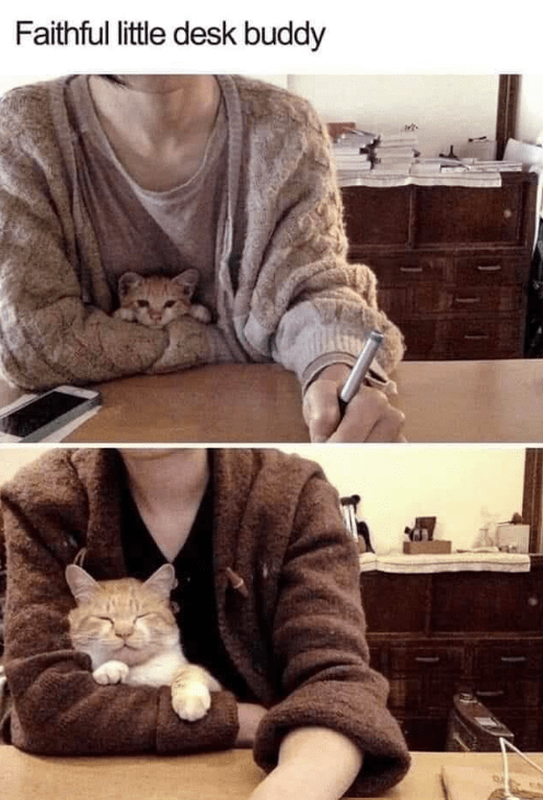 faithful-little-desk-buddy