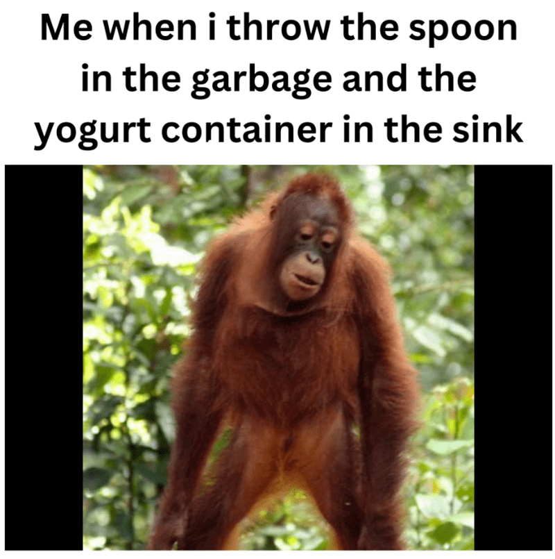 throw-spoon-garbage-and-yogurt-container-sink