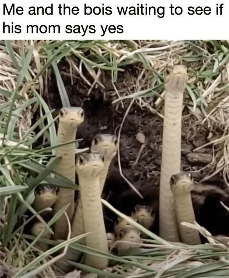 and-bois-waiting-see-if-his-mom-says-yes