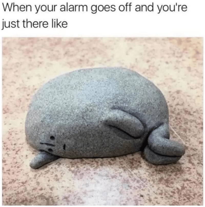 alarm-goes-off-and-just-there-like