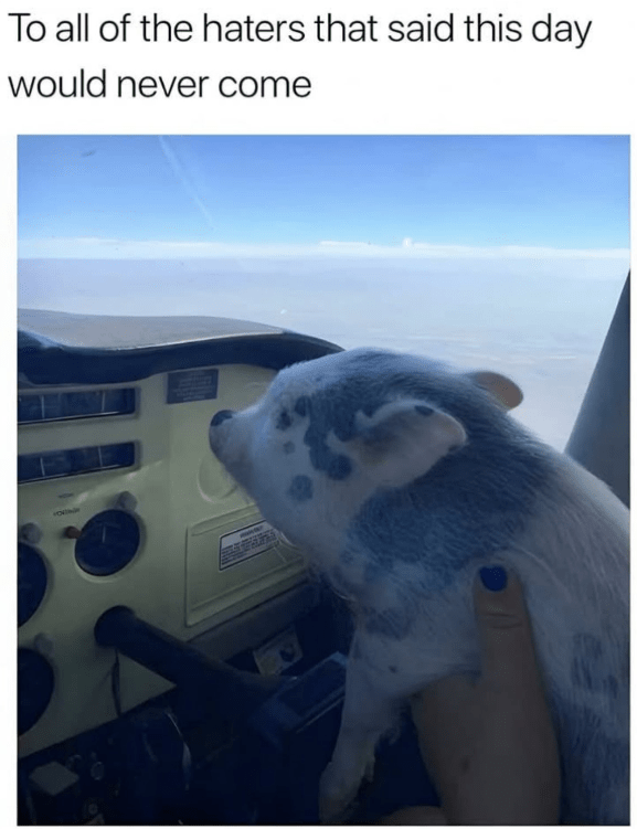 all-haters-said-this-day-would-never-come