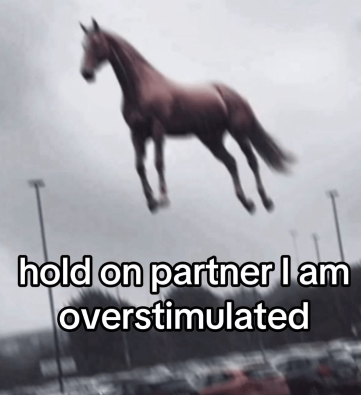 hold-on-partner-am-overstimulated
