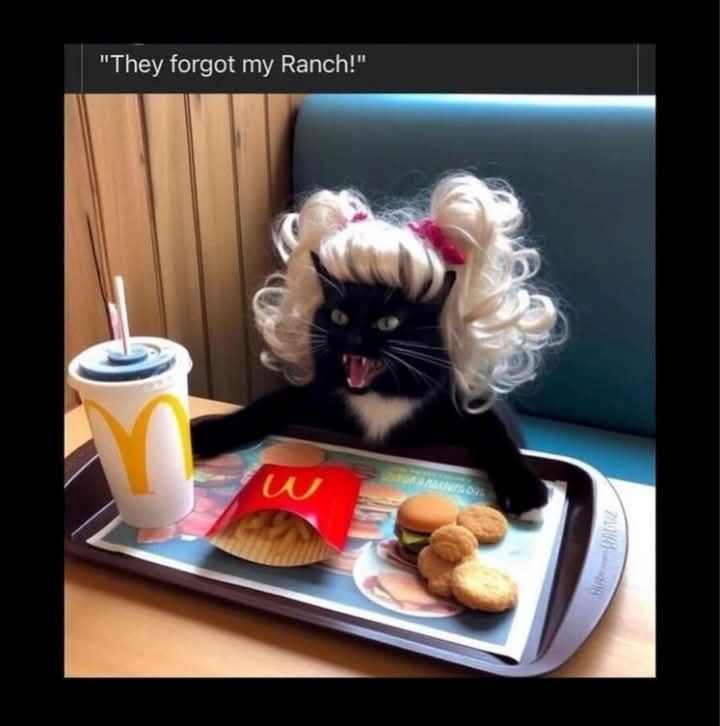 they-forgot-my-ranch-w