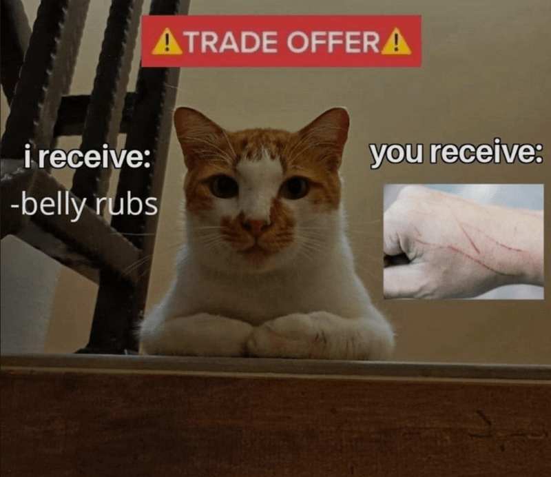 receive-belly-rubs-atrade-offer-receive