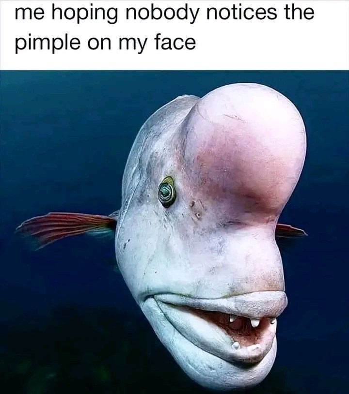 hoping-nobody-notices-pimple-on-my-face