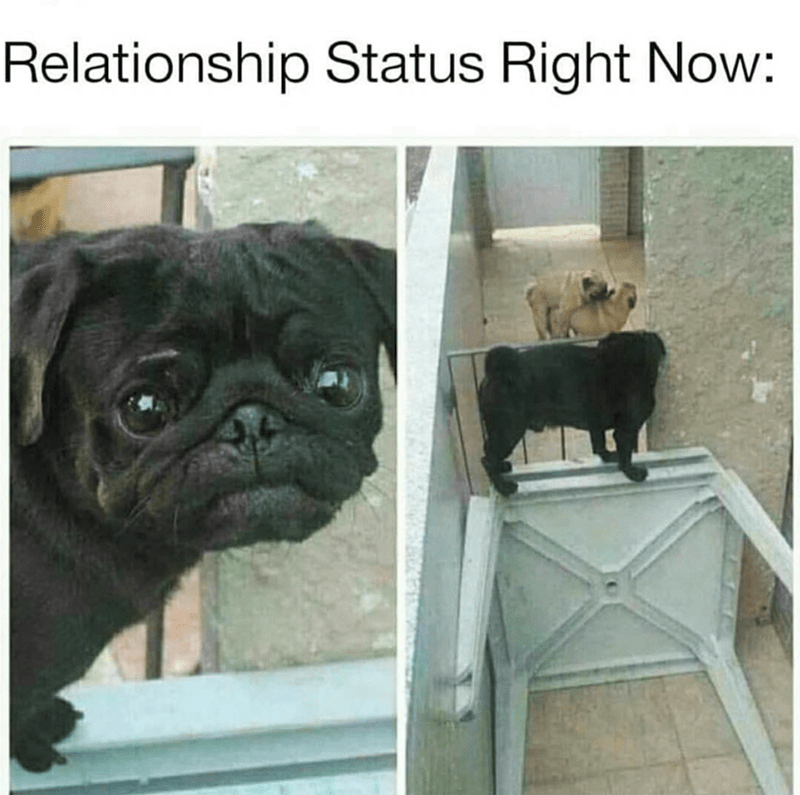 relationship-status-right-now