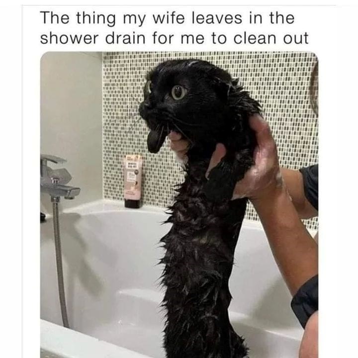 thing-my-wife-leaves-shower-drain-clean-out