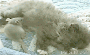 an-unlikely-friendship