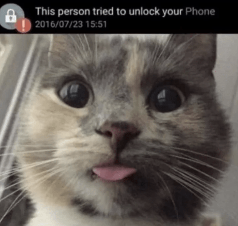 8-this-person-tried-unlock-phone-20160723-1551