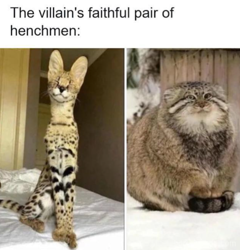 villains-faithful-pair-henchmen