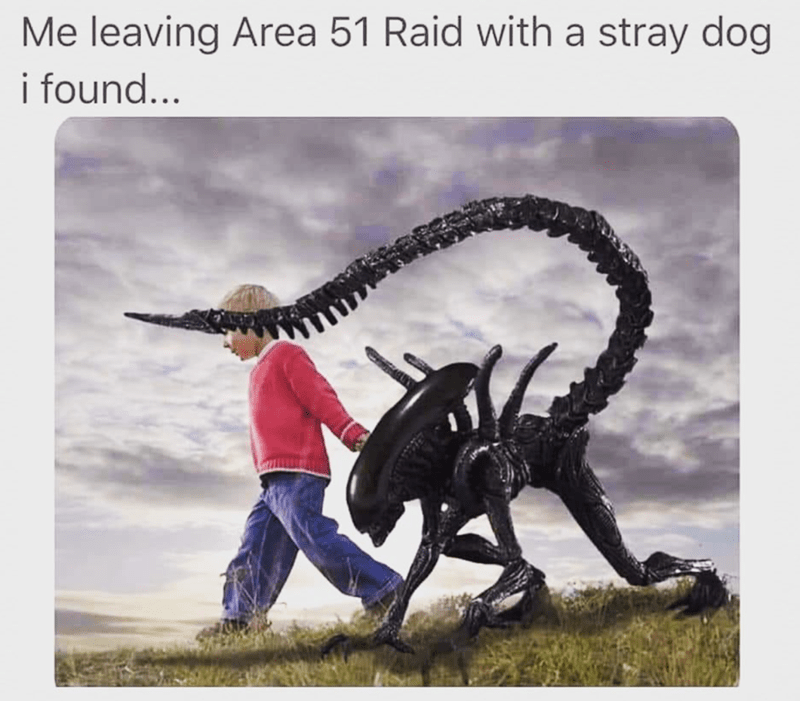 leaving-area-51-raid-with-stray-dog-found