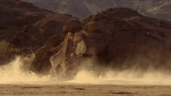 move-get-out-the-way