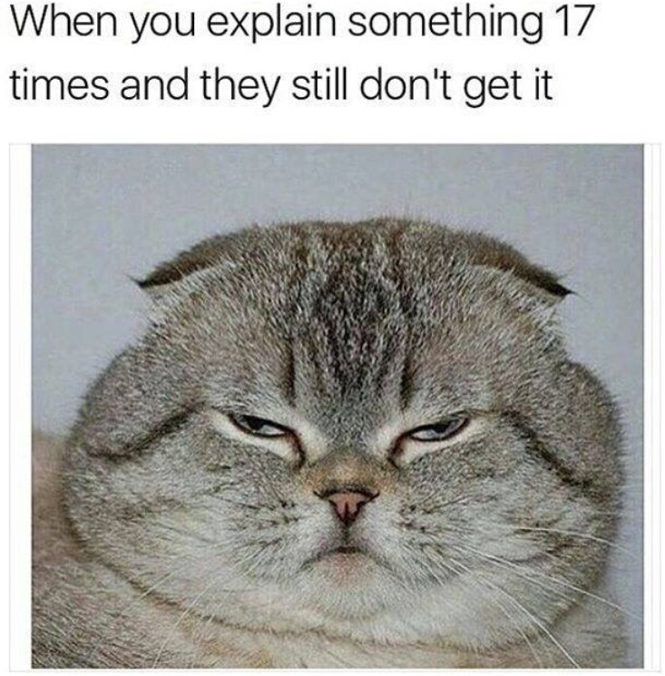 explain-something-17-times-and-they-still-dont-get