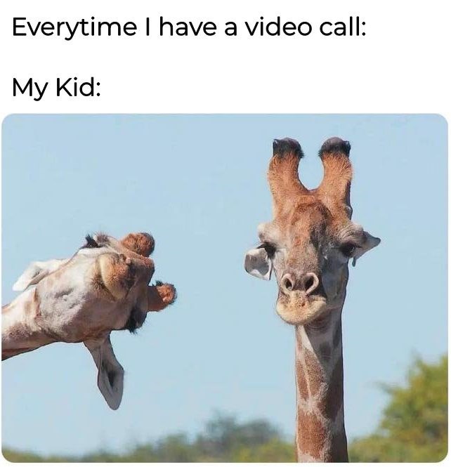 everytime-have-video-call-my-kid