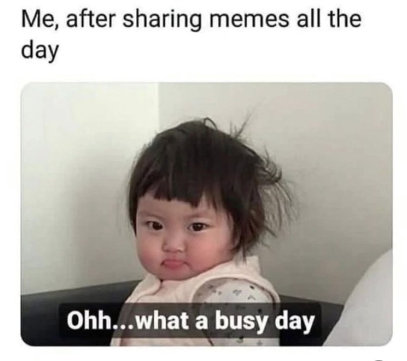 after-sharing-memes-all-day-ohh-busy-day