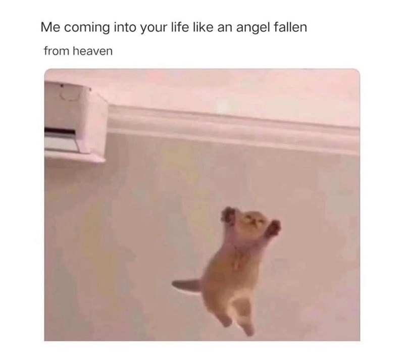 coming-into-life-like-an-angel-fallen-heaven
