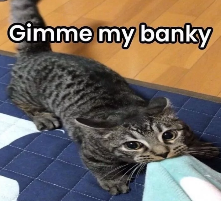 gimme-my-banky
