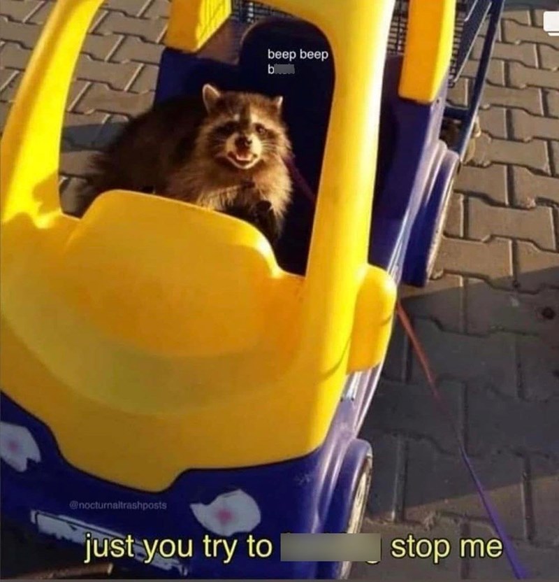 nocturnaltrashposts-beep-beep-b-just-try-stop