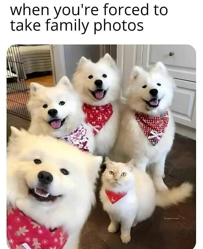 forced-take-family-photos