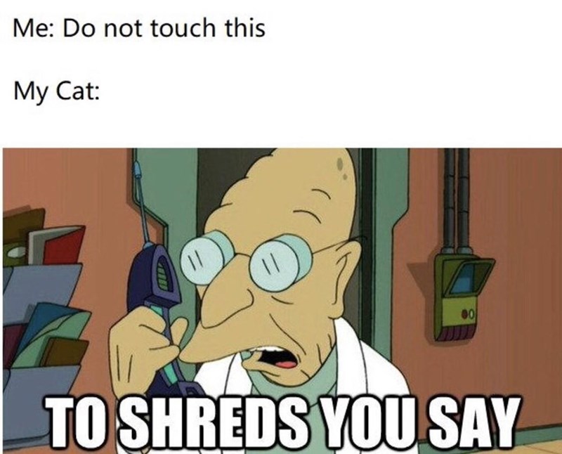do-not-touch-this-my-cat-00-shreds-say